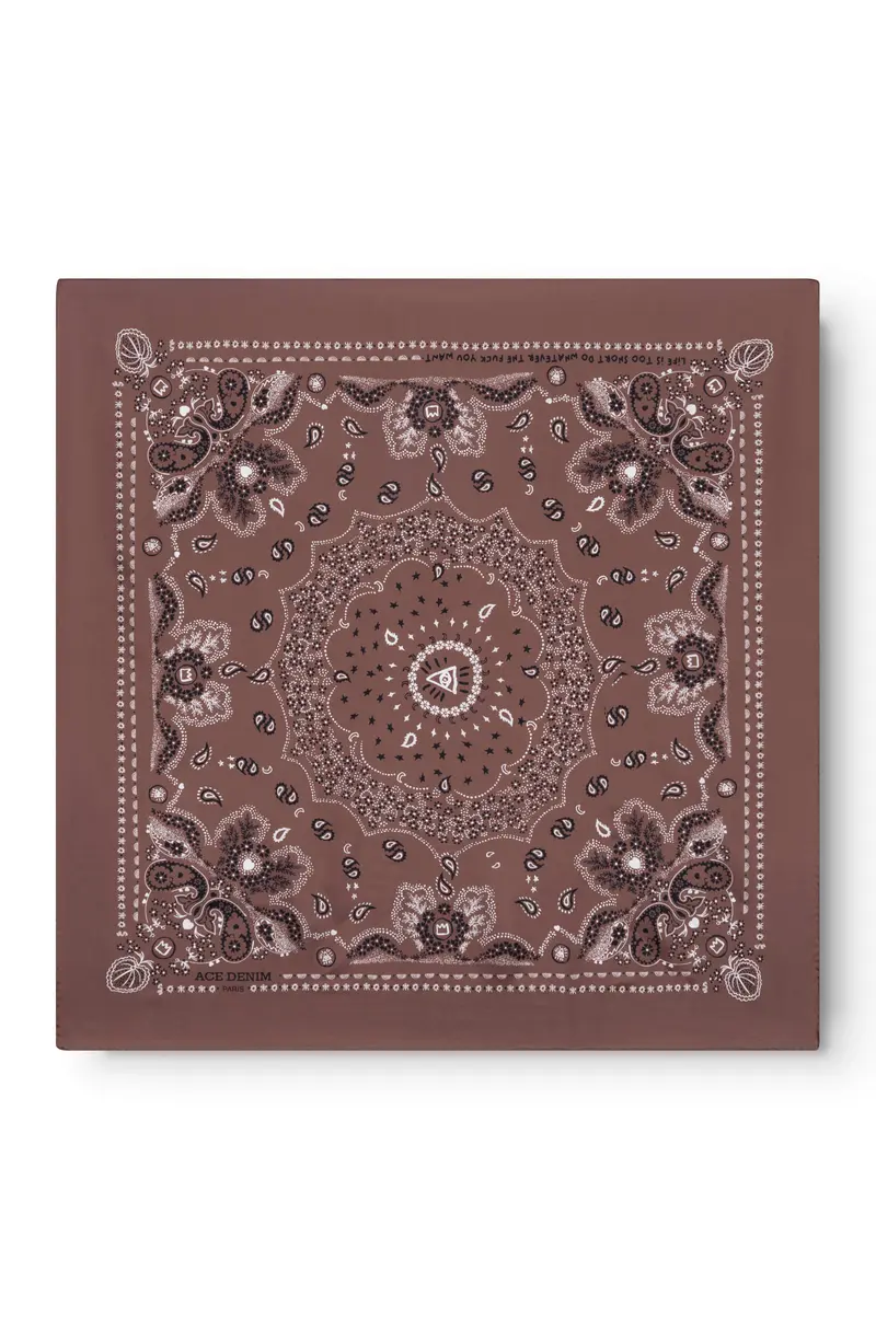 AD 400 - Carré en Soie Marron