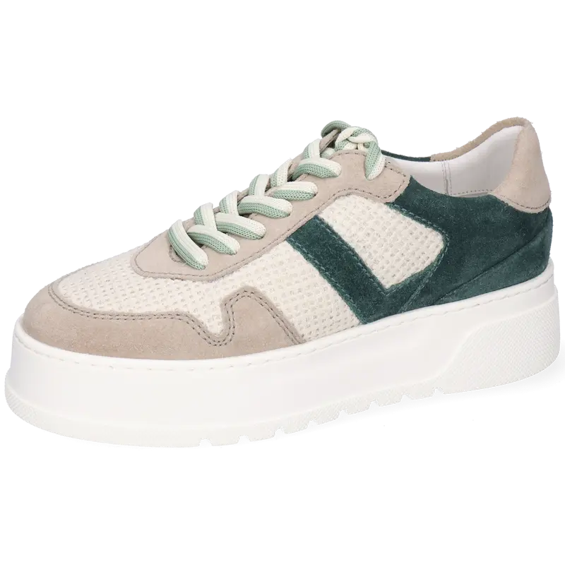 Alga 2
