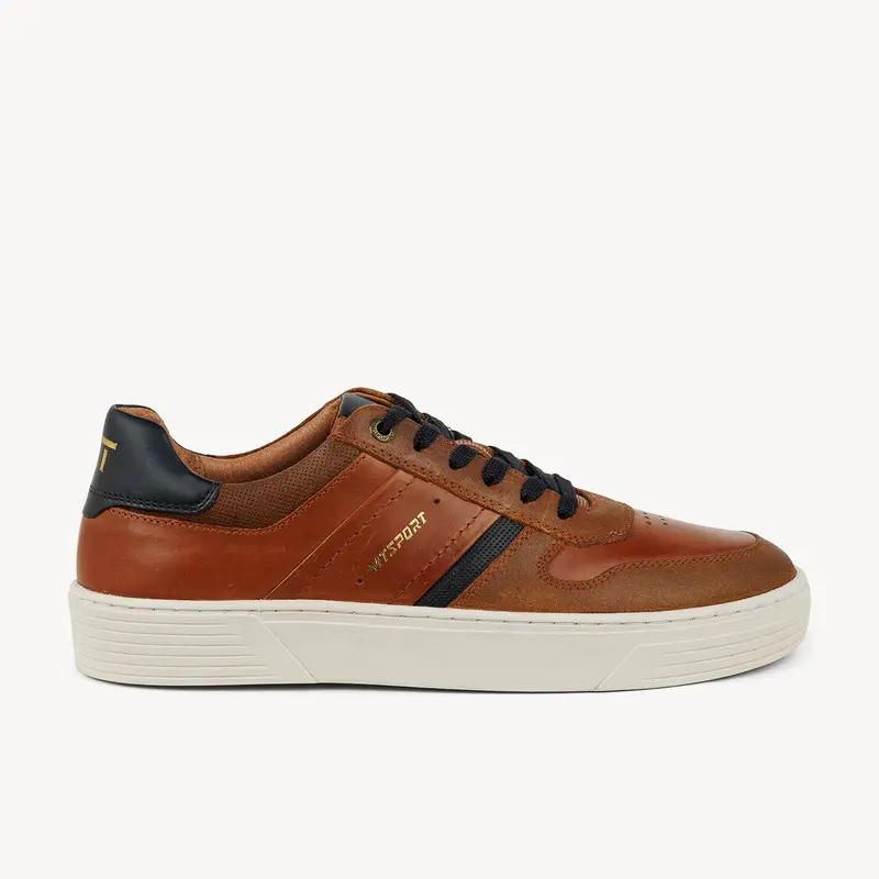 Baskets MARTIANO MARCO TOZZI Homme Marron