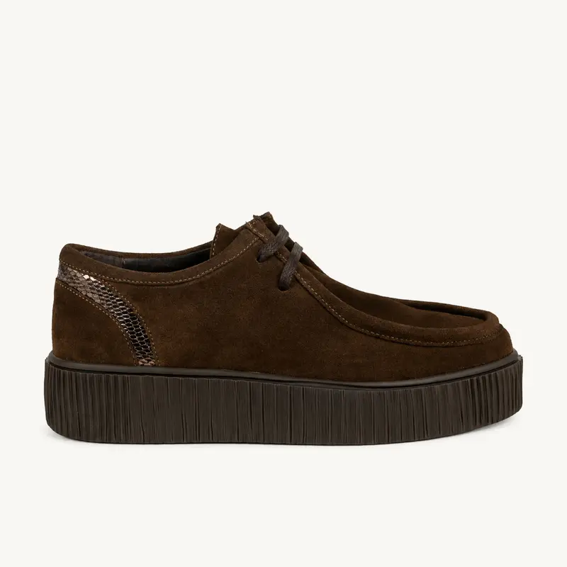 Derbies WEBAI ENZO VERSINI Femme Marron