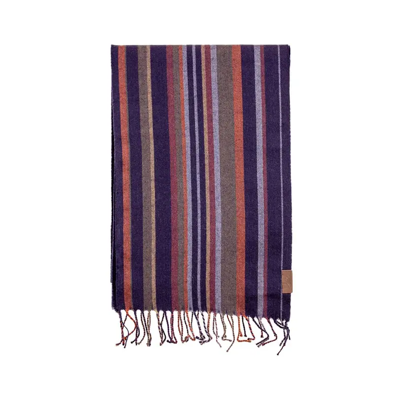Écharpe rayée multicolore
