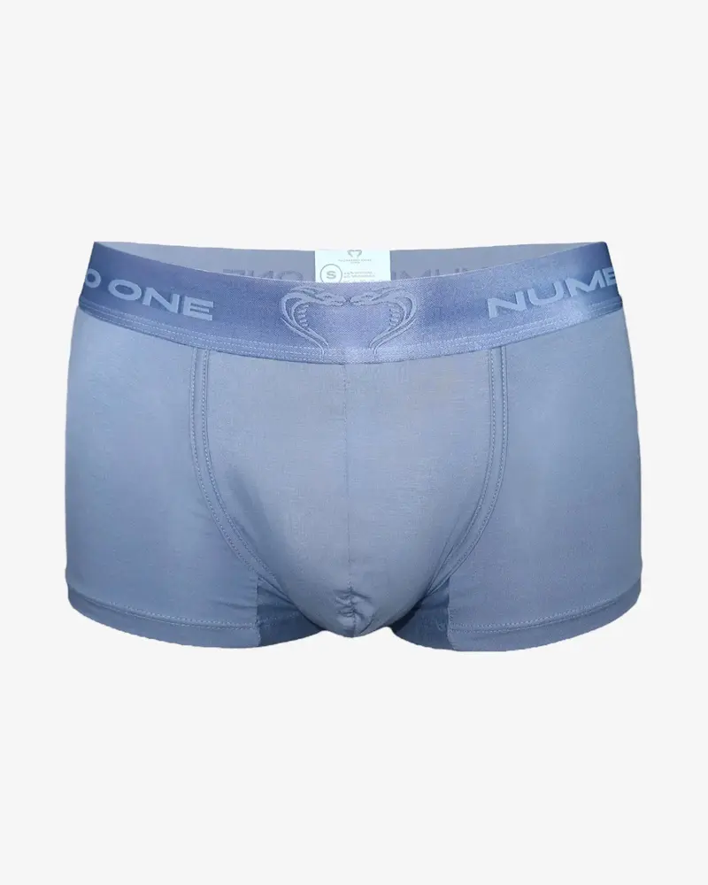 ELECTRIC BOXER - BLEU ACIER