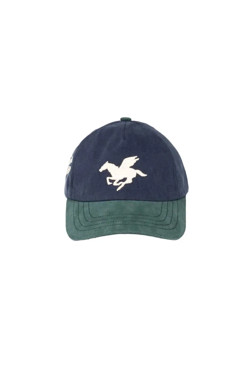 Goodies Sportive 3D Pegasus Washed Cap