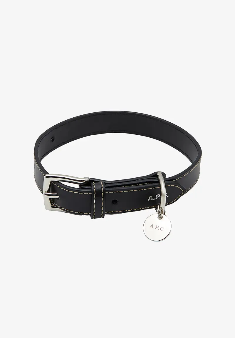 Hundehalsband Leder Toutou