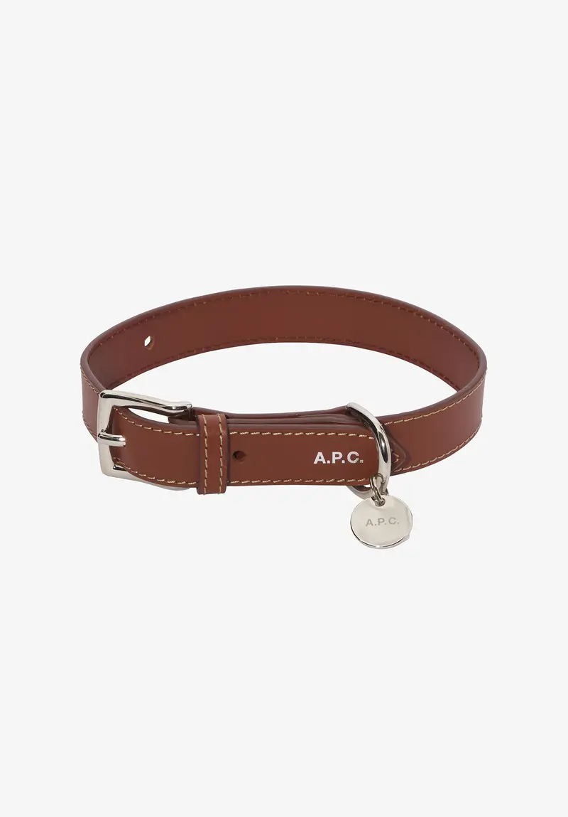 Hundehalsband Leder Toutou