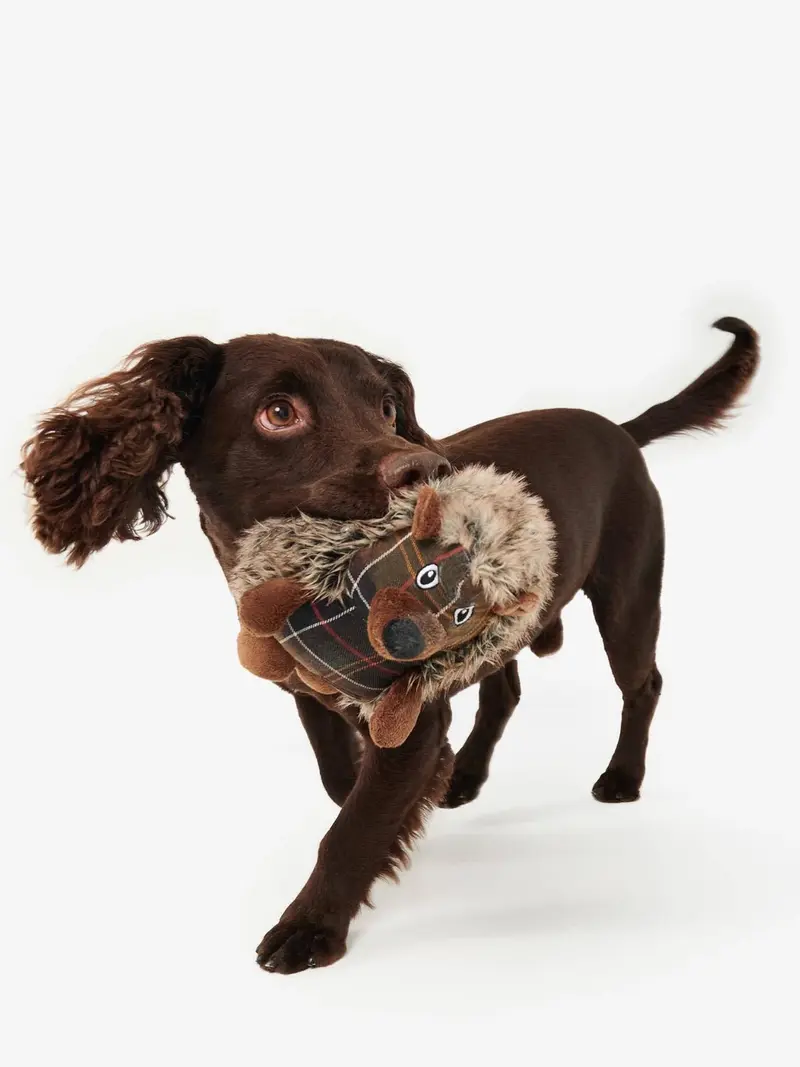Jouet hérisson pour chien Barbour