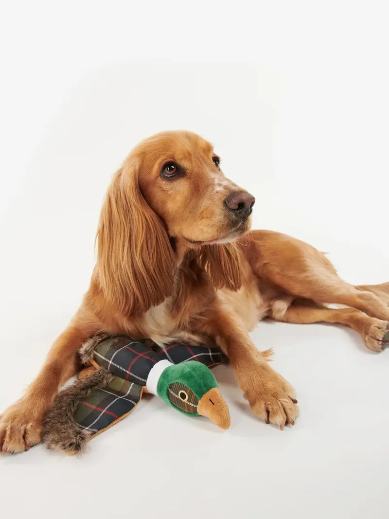 Jouet pour chien Barbour kaki