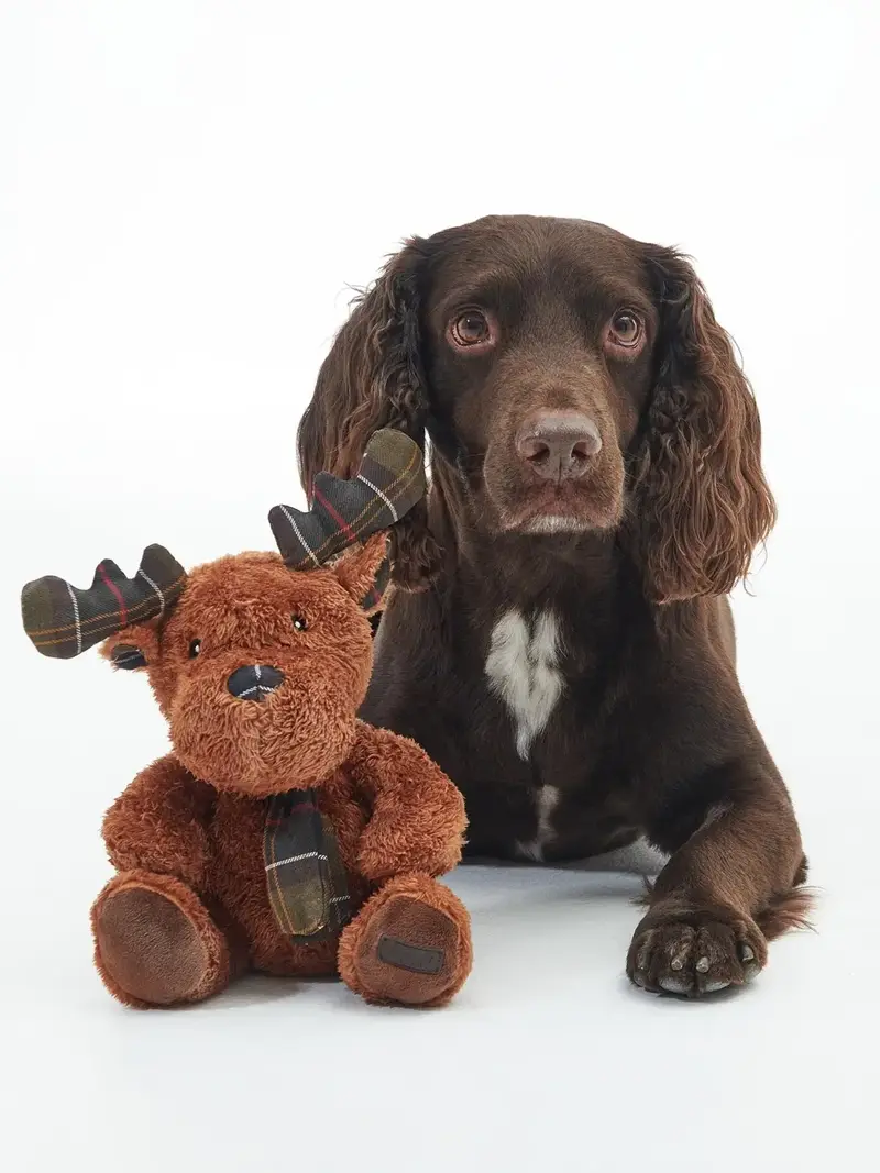 Jouet pour chien Barbour