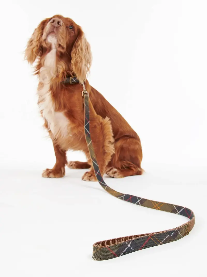Laisse pour chien Barbour beige