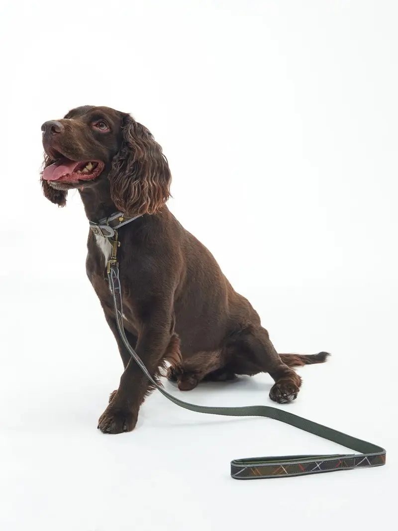Laisse pour chien Barbour