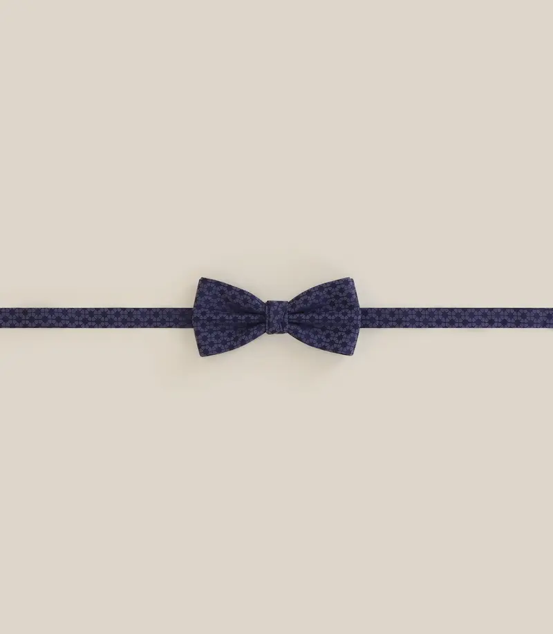Noeud papillon à motifs bleu