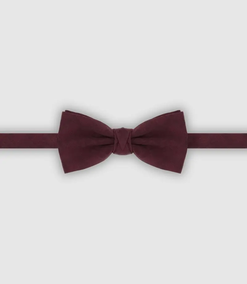 Nœud papillon avec motifs bordeaux