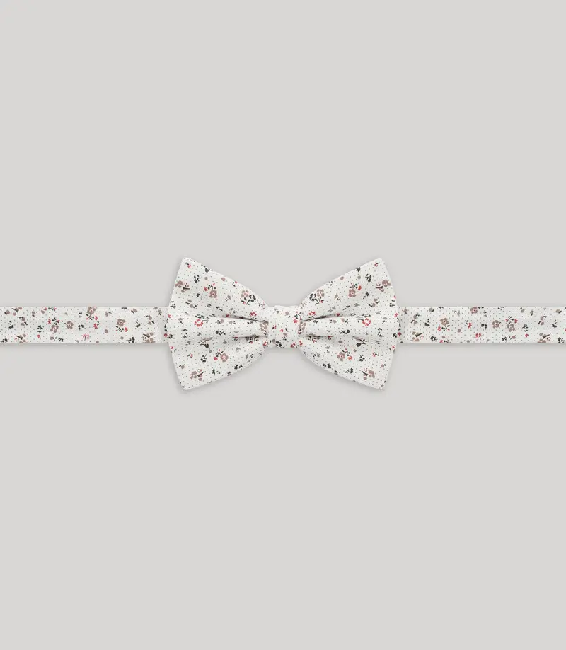 Noeud papillon fantaisie beige