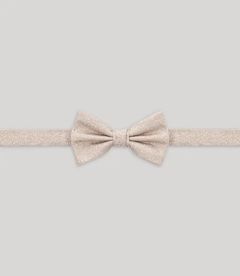Nœud papillon fantaisie beige