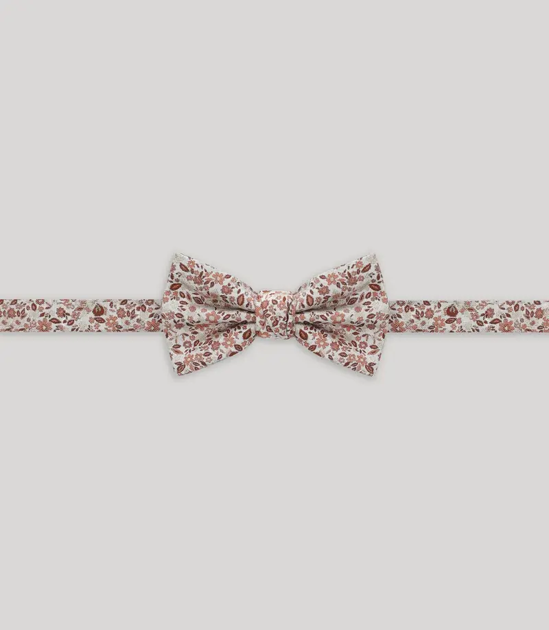 Nœud papillon fantaisie brique
