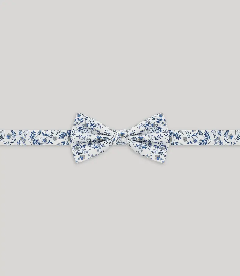 Nœud papillon fantaisie ciel