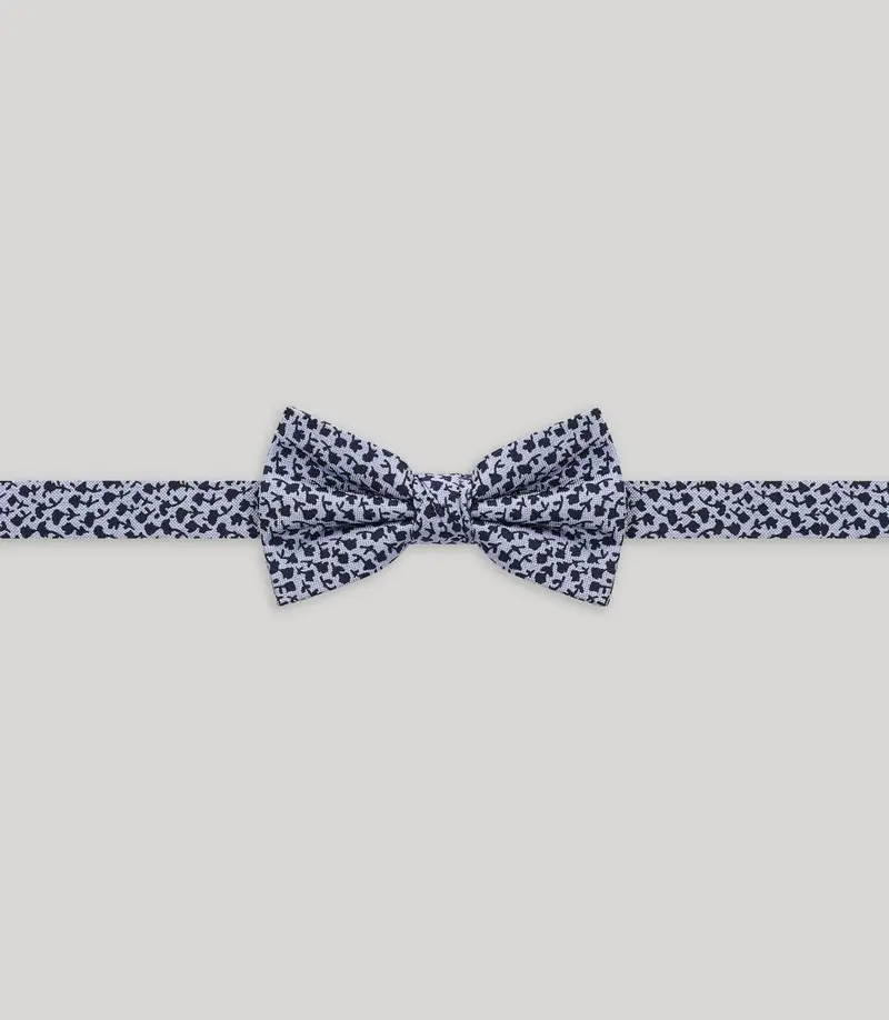 Noeud papillon fantaisie ciel