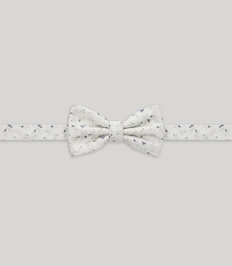 Nœud papillon fantaisie gris