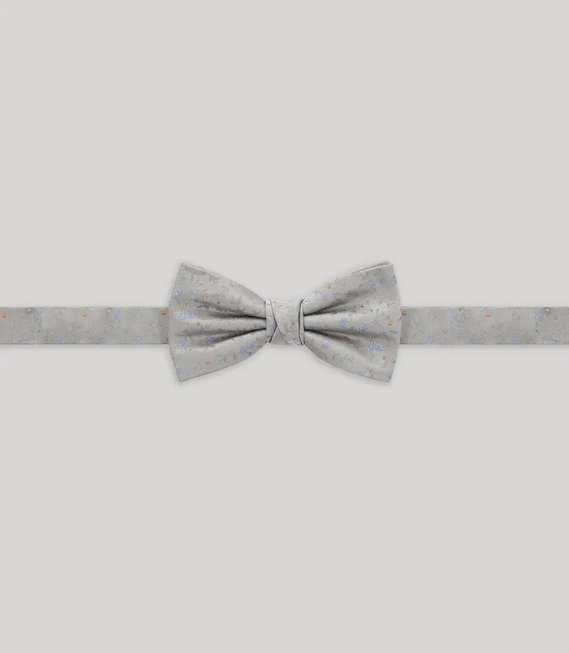 Nœud papillon fantaisie gris