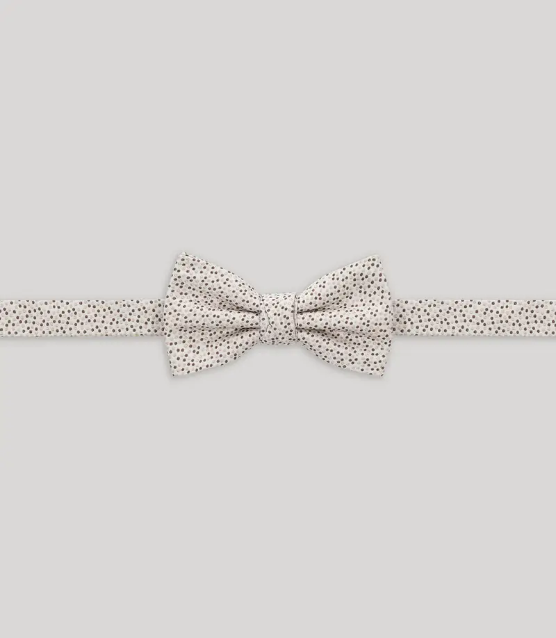 Nœud papillon fantaisie gris clair