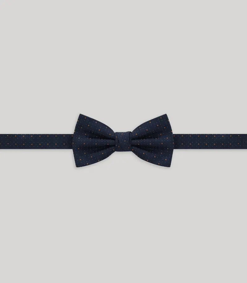 Noeud papillon fantaisie marine