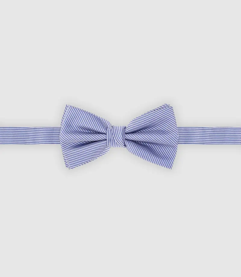 Nœud papillon rayé bleu