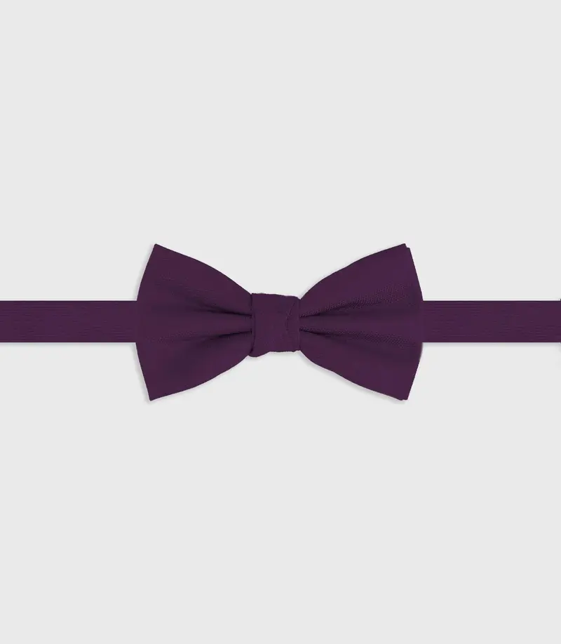 Noeud papillon violet NPMARTINE