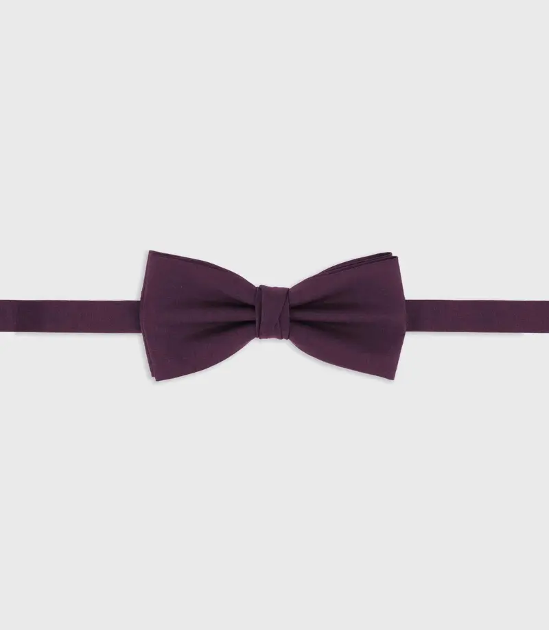 Nœud papillon violet NPTIAGO