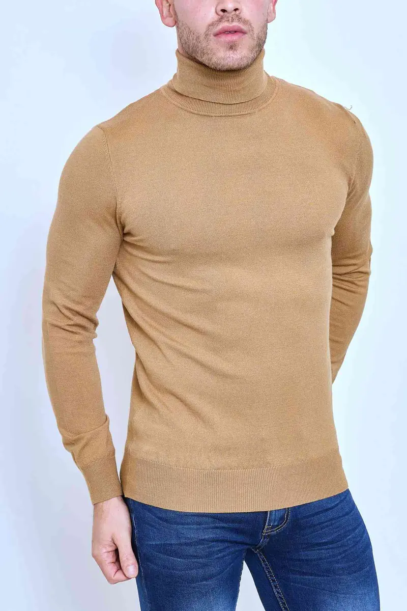 Pull col roulé classique beige fashion homme